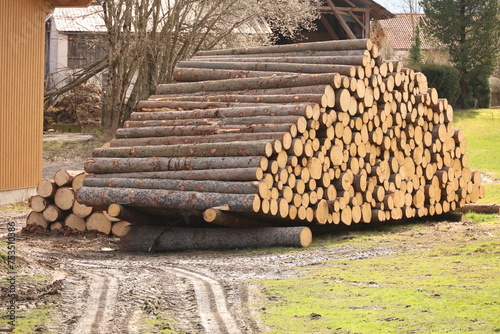 A pile of logs is stacked in a yard