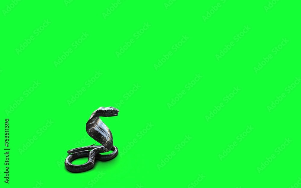 3d King Cobra the World's Longest Venomous Snake Isolated on Green Background, Pose Attack of King Cobra Snake, 3d Illustration, 3d Rendering.