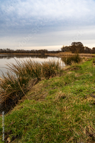 Winterspaziergang an den Teichen bei Holscha in der Oberlausitzer Heide- und Teichlandschaft 1