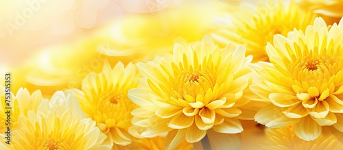 Vibrant Yellow Flowers Ador...