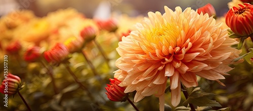 Vibrant and Colorful Bouque...
