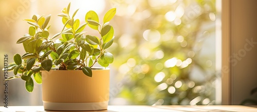 Lush Green Plant Flourishin...