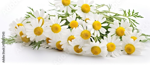 Delicate White Blossoms Blo...