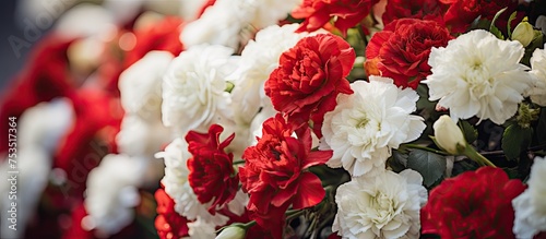 Vibrant Red and White Flowe...