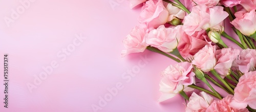 Ethereal Pink Blossoms Adorn Soft Pink Background in a Dreamy Display of Floral Beauty