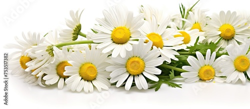 A Bunch of White and Yellow...