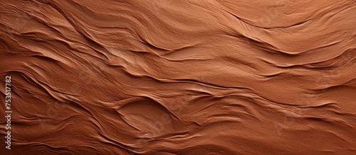 Detailed Macro Shot of Arid...