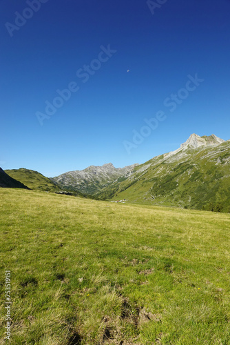 Lech valley in tha Austrian Alps, not fat from the town Lech 