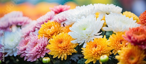 Vibrant Spring Blooms: Colo...