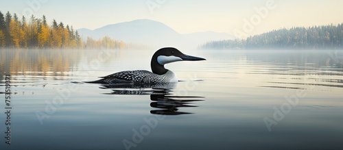 Serene Avian Moment: Colorf...