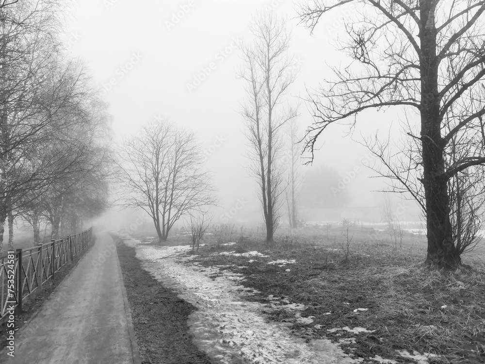 Obraz premium Winter Park under the snow