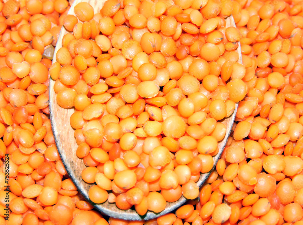 red lentils on a wooden spoon red lentils on a wooden spoon