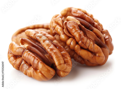 pecan nut isolated