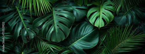 Tropical leaves background. Green leaf banner and floral jungle pattern concept. abstract green leaf texture.