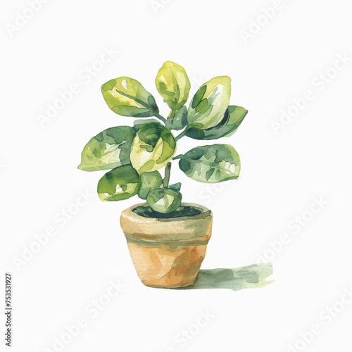 Plants planted in watercolor pots on white background