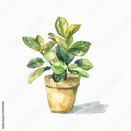 Plants planted in watercolor pots on white background