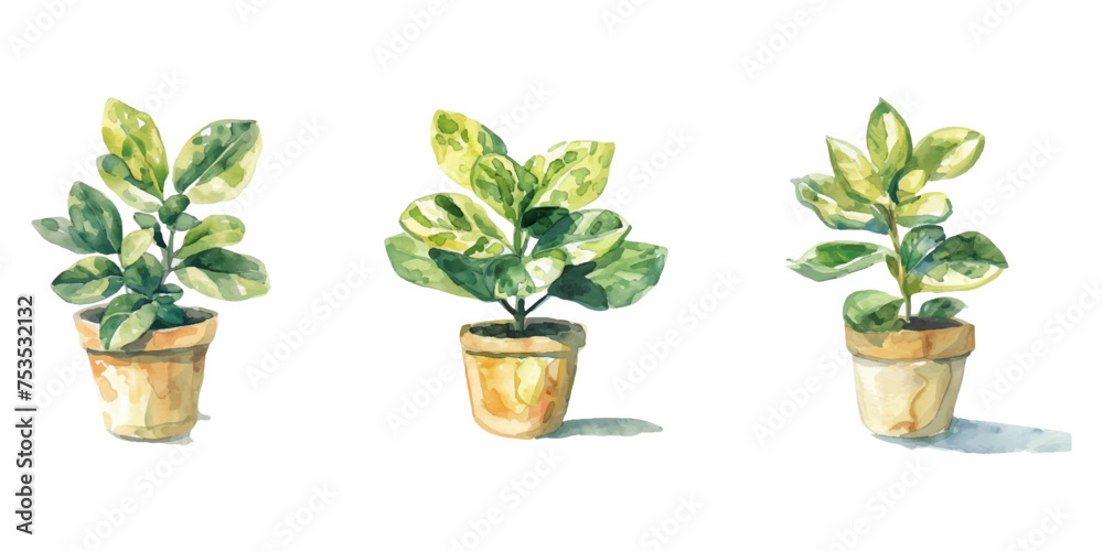 Plants planted in watercolor pots on white background Plants planted in watercolor pots on white background