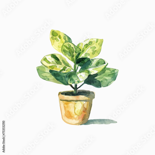 Plants planted in watercolor pots on white background