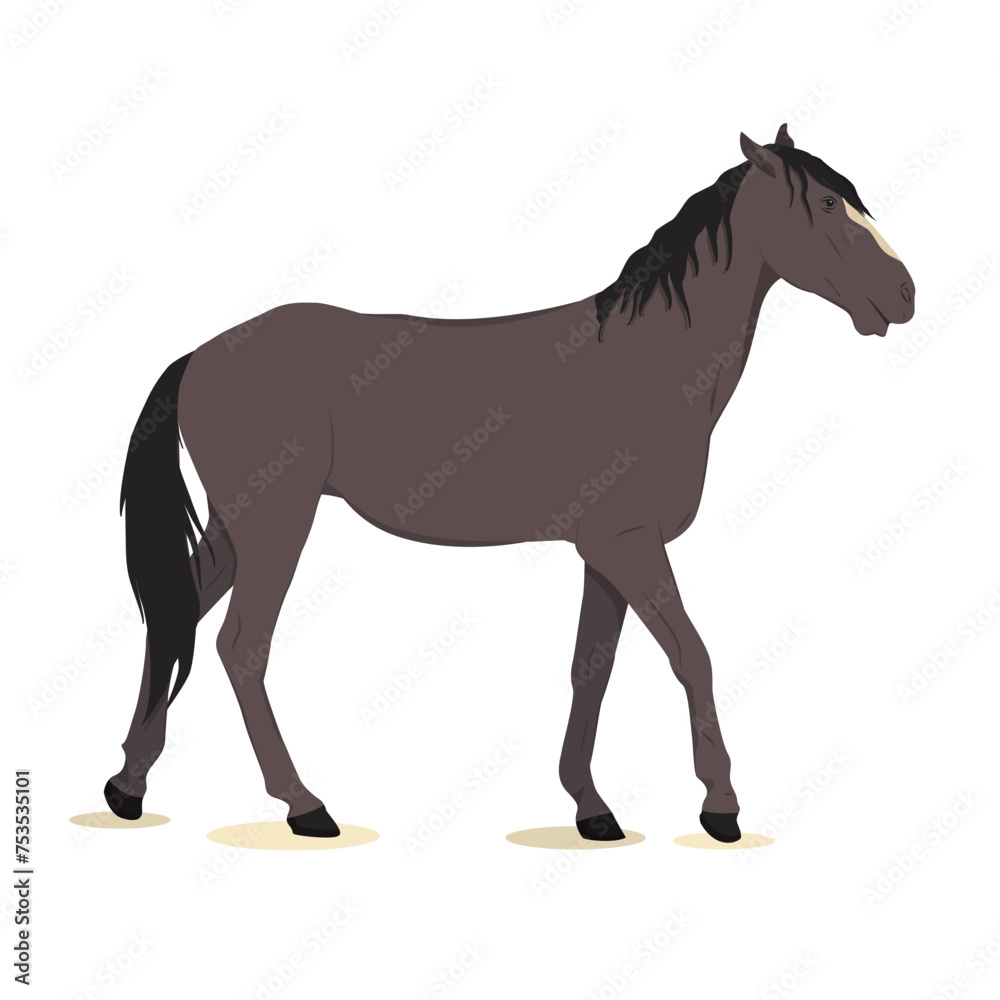 vector illustration of a dark gray horse isolated on a white background. The theme of equestrian sports, farming, veterinary medicine and animal husbandry
