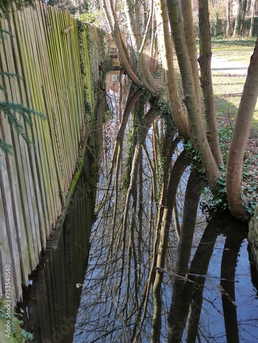 Halberstadt - Die Natur erwacht photo