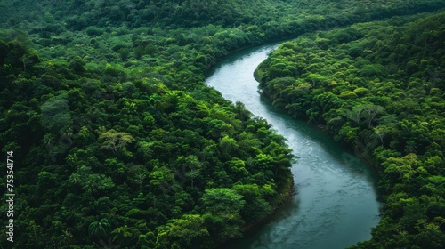 Winding river through lush forest background