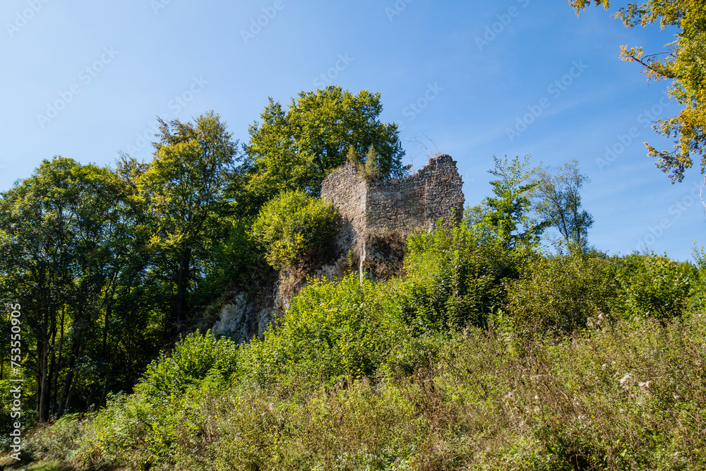 Burgruine Dreimühlen in der Eifel