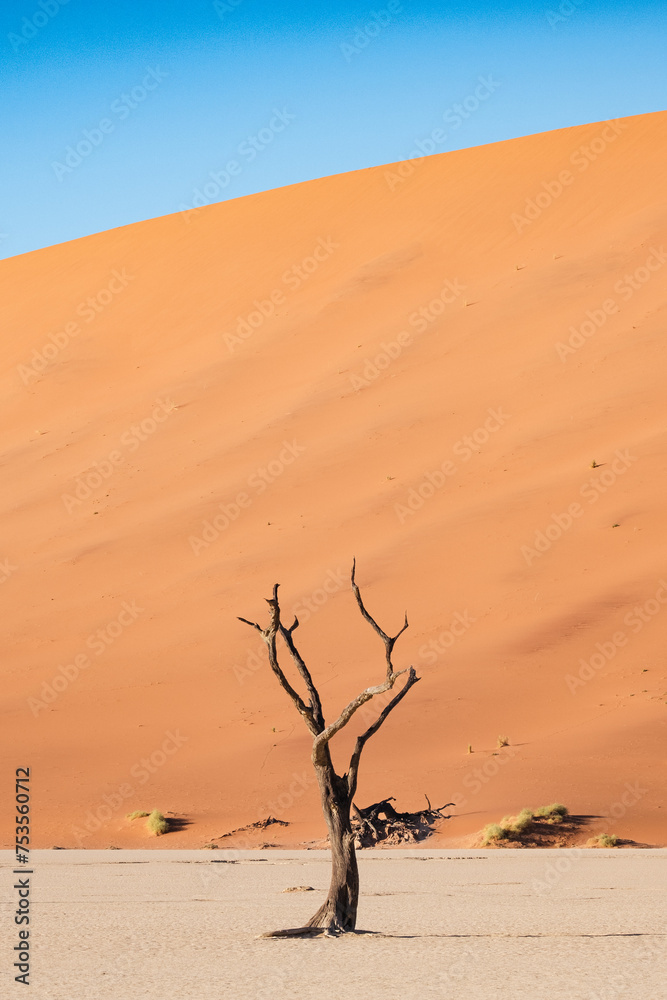 DeadVlei, Sossusvlei, Namibia