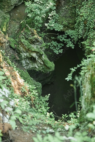 A wild cave or grotto. Mountainous terrain. Summer time of the year. A rock in the shape of a cow's head