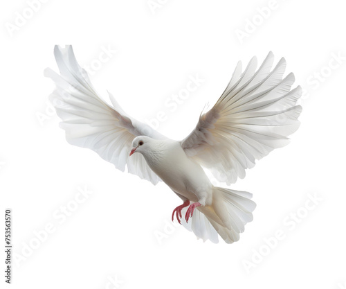 _White_dove_doll_flying