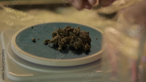 Thai girl weight cannabis for smoke cigarette