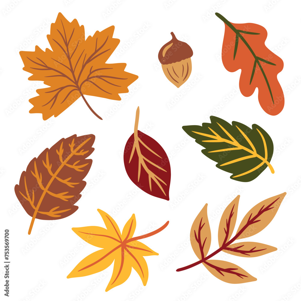 Set autumn leaves, orange red and yellow collection cartoon foliage vector isolated on white Set autumn leaves, orange red and yellow collection cartoon foliage vector isolated on white