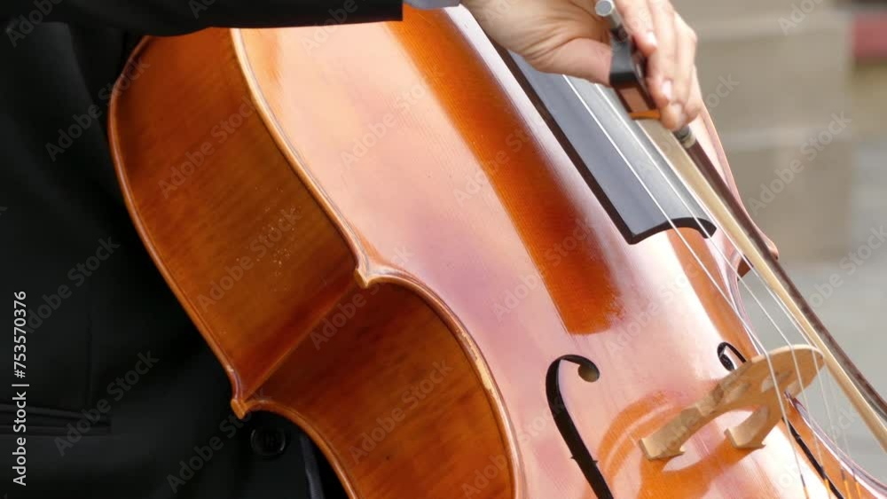musician in costume plays cello musician in costume plays cello