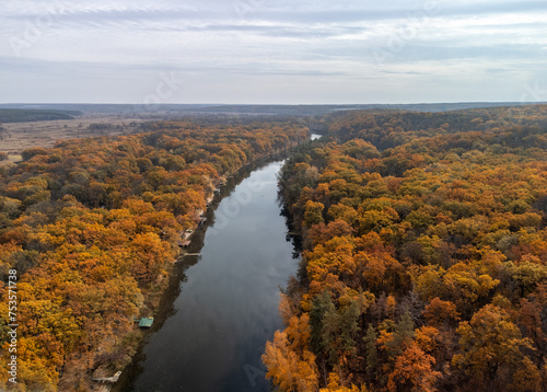 Autumn aerial river view in golden forest scenery