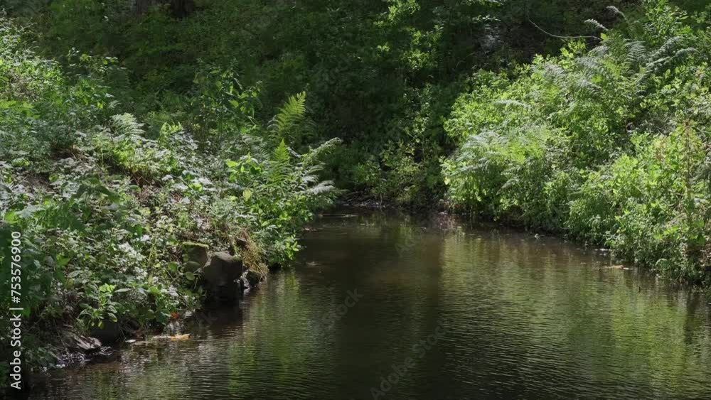 Small lake or pond with green summer forest. Small lake or pond with green summer forest.