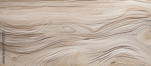 Bleached Wood Table Surface Texture