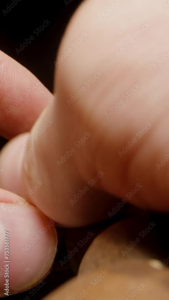 Vertical video. Men's Hands Sorting Pecan Nuts in Shells, Macro Dolly on a Black Background. Vertical video. Men's Hands Sorting Pecan Nuts in Shells, Macro Dolly on a Black Background.