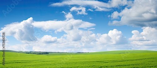 Serenity in Nature - Peaceful Field of Lush Green Grass Under Clear Blue Sky