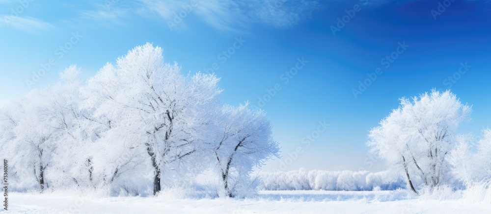 Tranquil Winter Wonderland with Snow-Covered Forest and Clear Blue Sky