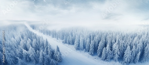 Serene Winter Wonderland: Tranquil Snowy Landscape with a Road Winding Through Majestic Trees