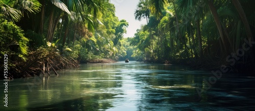 Tranquil River Flowing Through Lush Forest with Reflections of Trees in Calm Waters