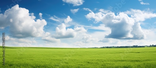 Tranquil Landscape with Vibrant Green Grass Meadows and Clear Blue Sky