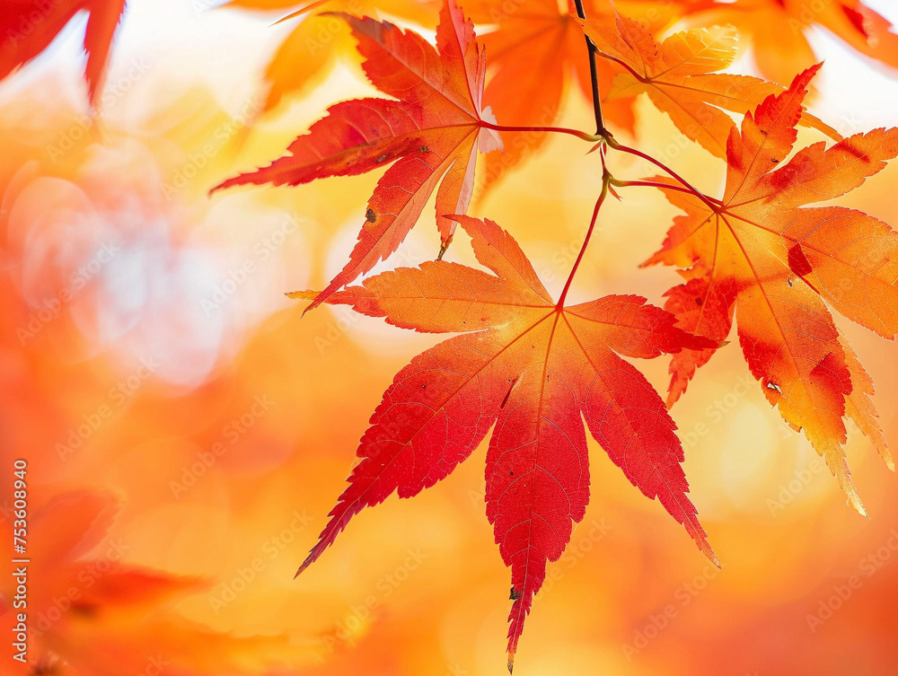 鮮やかな紅葉の背景 Generative AI 鮮やかな紅葉の背景 Generative AI