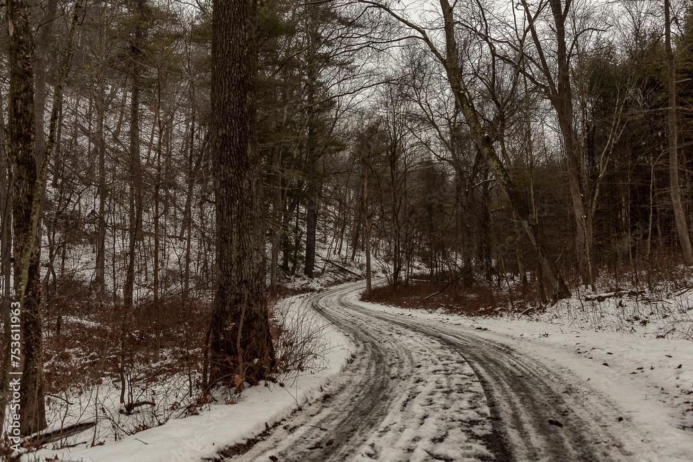 Road through the woods in the Delaware Water Gap National Recreation Area