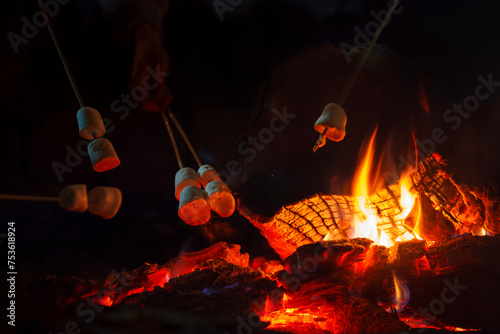 Young people roasting marshmallows over a campfire
