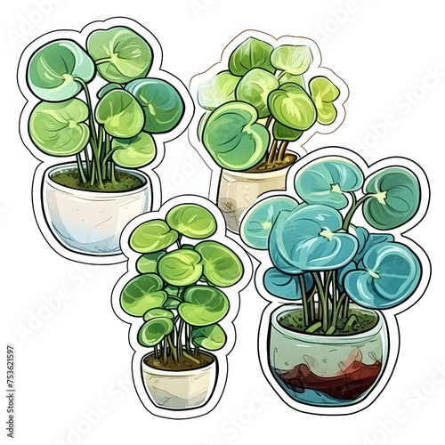 Chinese Money Plant In Pot, Watercolor Illustration