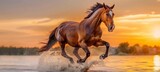 A majestic horse galloping along the beach at sunset with ample copy space for text