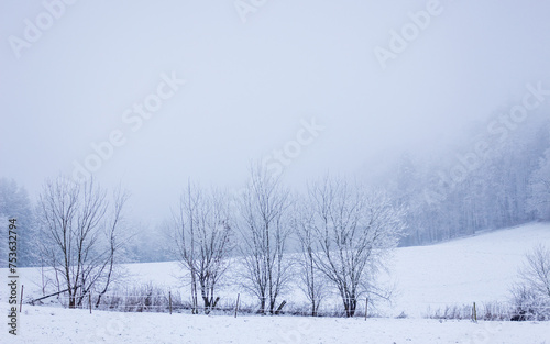Eine neblige Aussicht auf eine verschneite und kalte Landschaft