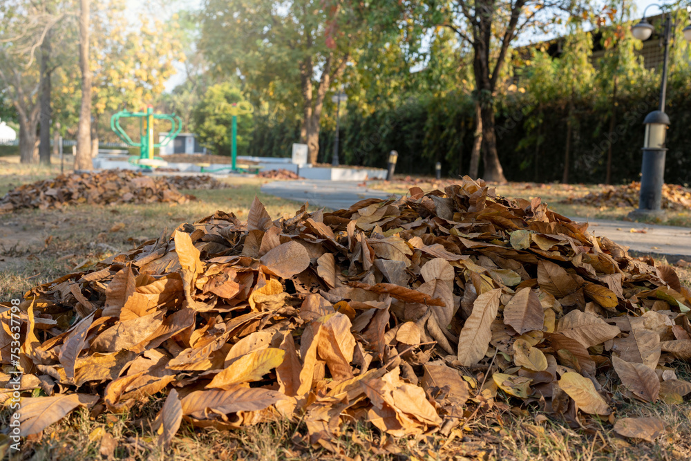 Dry leaves pile on the ground in the park.