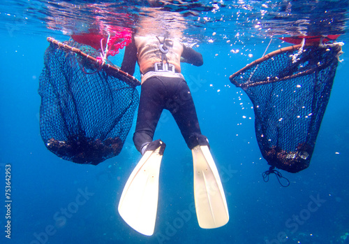 Haenyeo women, free-diving for seafood and crustaceans, Jeju Island, South Korea photo