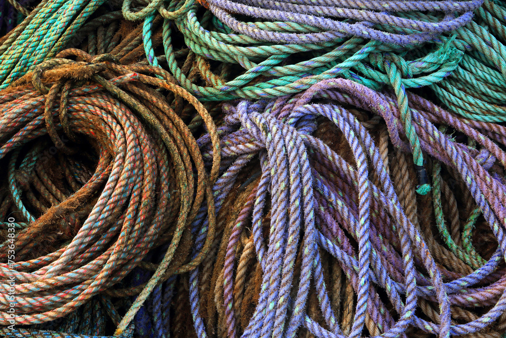 Rope detail, Craster, Northumberland, England Rope detail, Craster, Northumberland, England